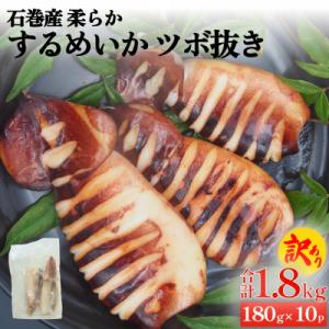 ふるさと納税 石巻市 訳あり 石巻産 柔らか するめいか ツボ抜き 海鮮 BBQ 冷凍 下処理済み ...