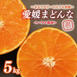 ふるさと納税 愛南町 先行受付 数量限定 ハウス栽培 訳あり まどんな 5kg みかん 前田ファーム...