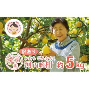ふるさと納税 愛南町 数量限定 先行受付 訳あり 河内晩柑 5kg みかん あいなんマザーズ 愛南町...