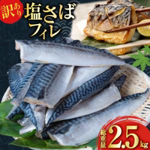 ふるさと納税 気仙沼市 訳あり 減塩 塩 サバ フィレ Sサイズ 総重量 2.5kg [足利本店 2...