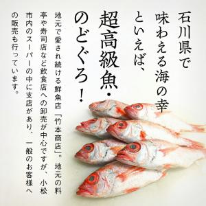 ふるさと納税 小松市 【日本海の高級魚】のどぐ...の詳細画像1