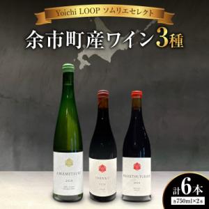 ふるさと納税 余市町 Yoichi LOOP ソムリエセレクト 余市町産ワイン【3種】 6本セット_...