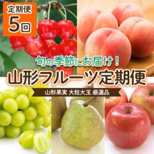ふるさと納税 山形市 【定期便5回】山形果実 大粒 大玉 厳選品 【令和8年産先行予約】FU22-070