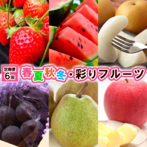 ふるさと納税 山形市 【定期便6回】春夏秋冬・彩りフルーツ 【令和8年産先行予約】FU23-796
