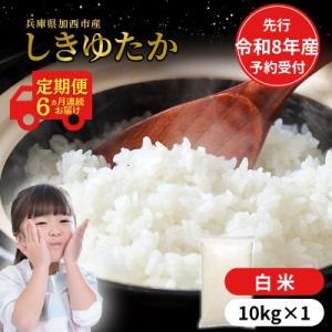 ふるさと納税 加西市 定期便【令和8年 先行受付】しきゆたか 白米 10kg 6か月連続お届け[No5698-2558]