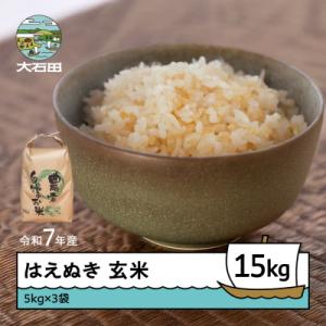ふるさと納税 大石田町 米 令和7年産 はえぬき 玄米 15kg 5kg×3 順次発送 ap-hagxa15