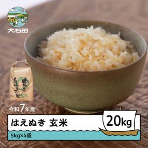 ふるさと納税 大石田町 米 令和7年産 はえぬき 玄米 20kg 5kg×4 順次発送 ap-hagxa5x4