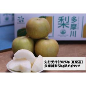 ふるさと納税 川崎市 【2026年夏配送】多摩川梨 5Kg 詰め合わせ | 梨 なし 果物 フルーツ 川崎市 オリジナル