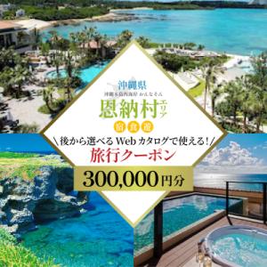 ふるさと納税 恩納村 【沖縄ツアー】沖縄西海岸リゾート恩納村 後から選べる旅行クーポン30万分
