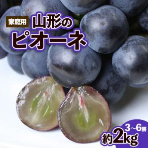 ふるさと納税 山形市 【ご家庭用】山形のピオーネ 優品 約2kg[9月発送]【令和8年産先行予約】FS23-645