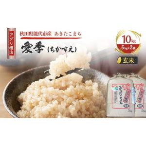 ふるさと納税 能代市 令和7年産 アグリ檜山米 愛季 玄米 10kg ( 5kg × 2袋 )[No.5335-1663]