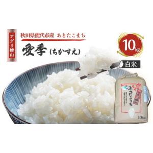 ふるさと納税 能代市 令和7年産 アグリ檜山米 愛季 白米 10kg  あきたこまち[No.5335...