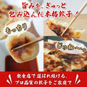 ふるさと納税 西予市 <愛媛のおいしい餃...の詳細画像1