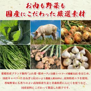 ふるさと納税 西予市 <愛媛のおいしい餃...の詳細画像2