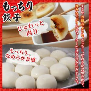 ふるさと納税 西予市 <愛媛のおいしい餃...の詳細画像3