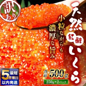 ふるさと納税 釧路市 紅鮭いくら醤油漬け 500g (250g×2)冷凍