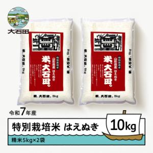 ふるさと納税 大石田町 【3月上旬発送】米 令和7年産 はえぬき 10kg 山形県大石田町産 特別栽培米 精米