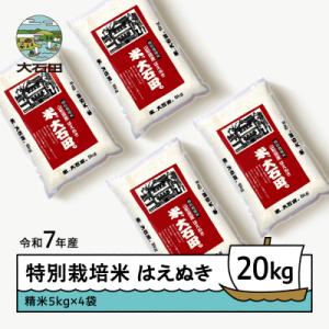 ふるさと納税 大石田町 【3月上旬発送】米 令和7年産 はえぬき 20kg 山形県大石田町産 特別栽培米 精米