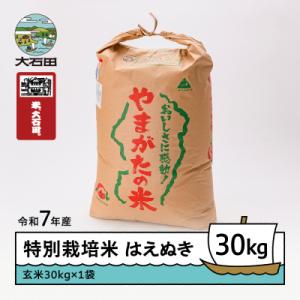 ふるさと納税 大石田町 米 はえぬき 30kg 令和7年産 【2026年6月上旬発送】山形県産 特別栽培米 玄米