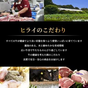 ふるさと納税 加西市 神戸牛 焼肉セット 4種...の詳細画像2