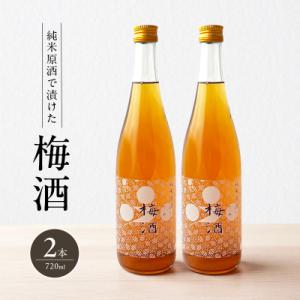 ふるさと納税 加西市 梅酒 純米原酒でつけた梅酒 720ml 2本 セット 果実酒 低アルコール[N...