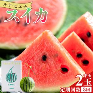 ふるさと納税 香南市 【3回定期便】ルナ・ピエナスイカ(中玉) 2玉 Wyu-0067