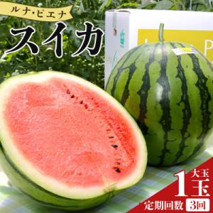 ふるさと納税 香南市 【3回定期便】ルナ・ピエナ...の商品画像