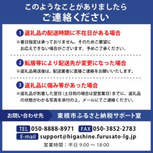 ふるさと納税 東根市 【CASIO】腕時計 O...の詳細画像2