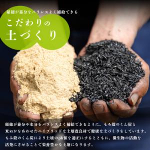 ふるさと納税 高原町 【令和8年産先行受付】霧...の詳細画像3