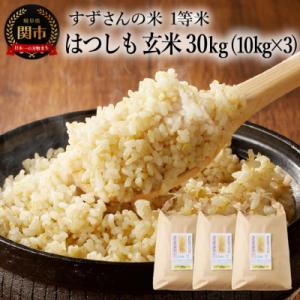 ふるさと納税 関市 玄米30kg(10kgx3袋)安心・安全なすずさんの米 1等米のはつしも/大粒　和食  お米　関市
