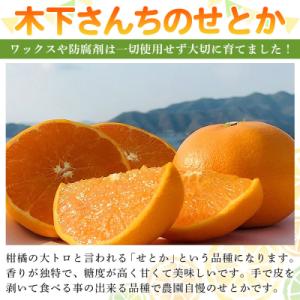 ふるさと納税 西予市 <木下さんちのせと...の詳細画像1
