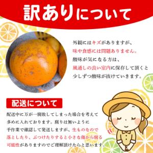 ふるさと納税 西予市 <木下さんちのせと...の詳細画像2