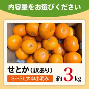 ふるさと納税 西予市 <木下さんちのせと...の詳細画像3