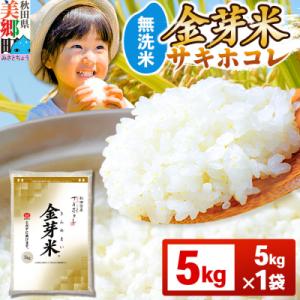 ふるさと納税 美郷町 令和7年産 金芽米 サキホコレ 5kg|01_tyr-010501