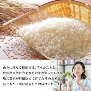 ふるさと納税 西予市 <令和7年産 西予...の詳細画像2
