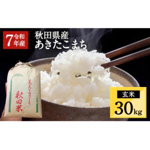 ふるさと納税 湯沢市  秋田県湯沢市産 あきたこまち 玄米 30kg[O5-15701]