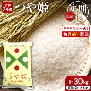 ふるさと納税 東根市 【2026年4月スタート】 特別栽培米つや姫5kg×6回(毎月 前半発送)定期便 hi053-042