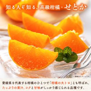 ふるさと納税 西予市 <せとか(家庭用)...の詳細画像1