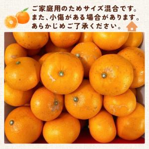 ふるさと納税 西予市 <せとか(家庭用)...の詳細画像3