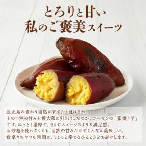 ふるさと納税 大崎町 鹿児島県産紅はるか 蜜焼き芋の詳細画像1