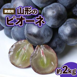 ふるさと納税 山形市 【ご家庭用】山形のピオーネ優品約2kg【8月発送】【令和8年産先行予約】FS25-152