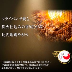 ふるさと納税 大館市 比内地鶏炭火やきとり塩味...の詳細画像2