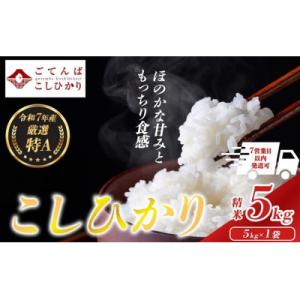 ふるさと納税 小山町 令和7年産 コシヒカリ 【 精米 】 5kg