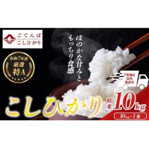 ふるさと納税 小山町 令和7年産 コシヒカリ 【 精米 】 10kg