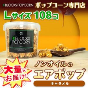 ふるさと納税 春日井市 ポップコーン専門店 大量にお届け ノンオイルのエアポップ Lサイズ 108個　味:キャラメル