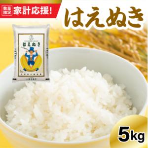 ふるさと納税 米沢市 【令和7年産】はえぬき 5kg 〔精米〕※4月発送分