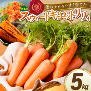 ふるさと納税 碧南市 〈予約受付〉訳あり鈴盛農園の甘いにんじんスウィートキャロットリリィ5kg H0...