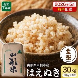 ふるさと納税 東根市 【令和7年産】※2026年5月前半発送※ 玄米 はえぬき30kg hi053-065-051