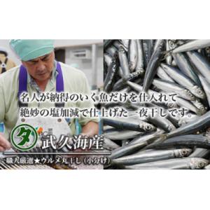 ふるさと納税 愛南町 訳あり 魚の 丸干し &...の詳細画像1
