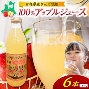 ふるさと納税 五所川原市 りんごジュース(1L×6本) 青森県産 完熟リンゴ果汁100% 品種ブレンド